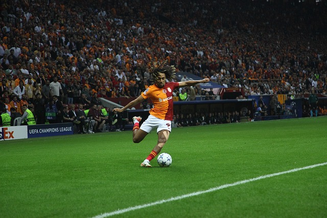 来西亚的世 来西亚的世