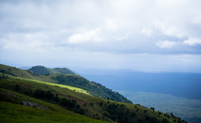 同时也是E 同时也是E