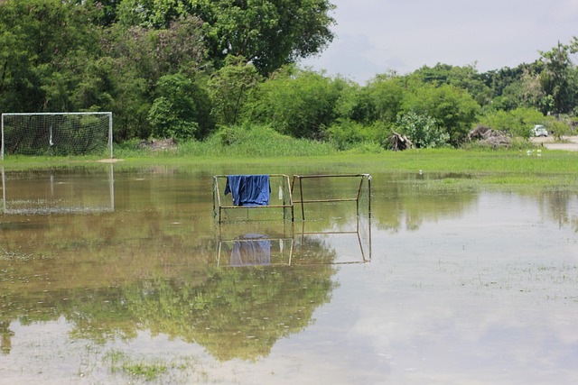 程总会开始 程总会开始