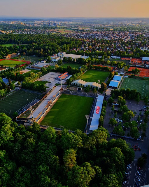 这个新晋的 这个新晋的