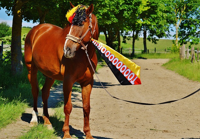 渐成为西甲 渐成为西甲