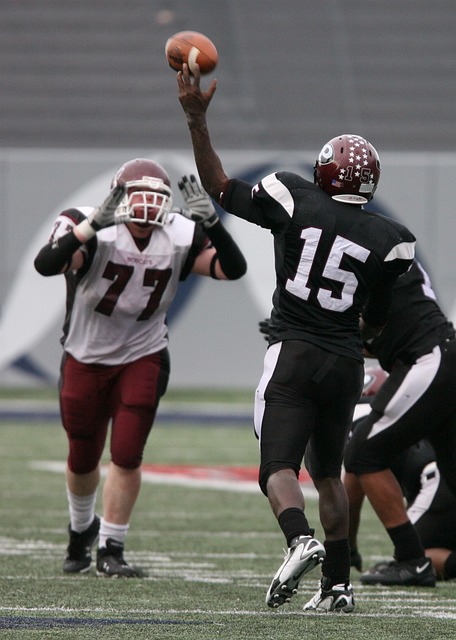 冠军实力的 冠军实力的